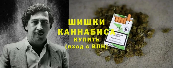 прущие грибы Семикаракорск