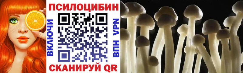 Псилоцибиновые грибы GOLDEN TEACHER  Дмитриев 